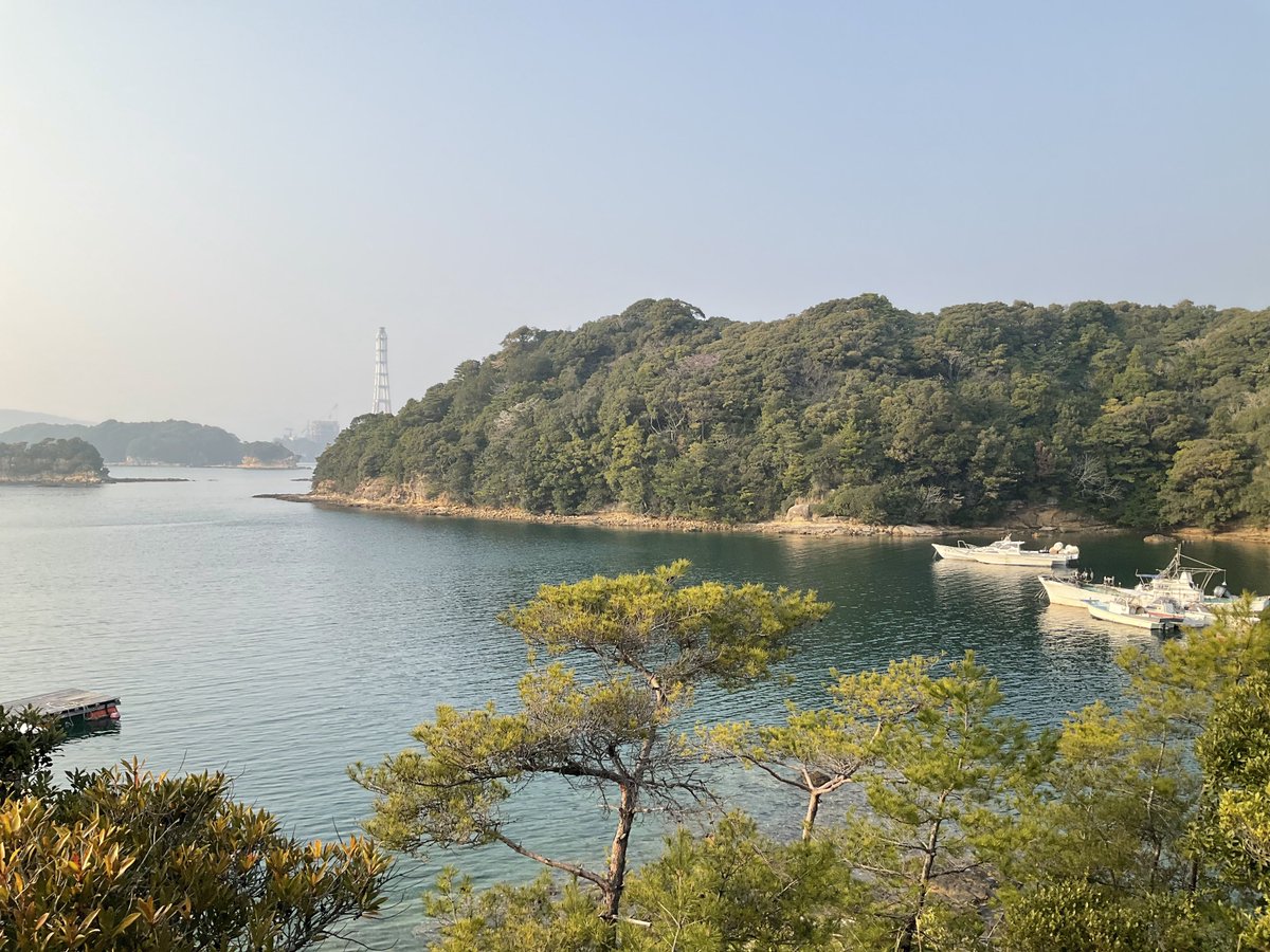 ふぇーす⚓️📸原稿モード tweet media