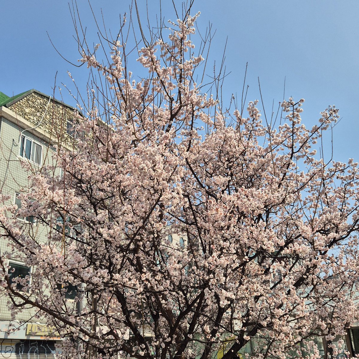 오늘은 피크닉의 날이다