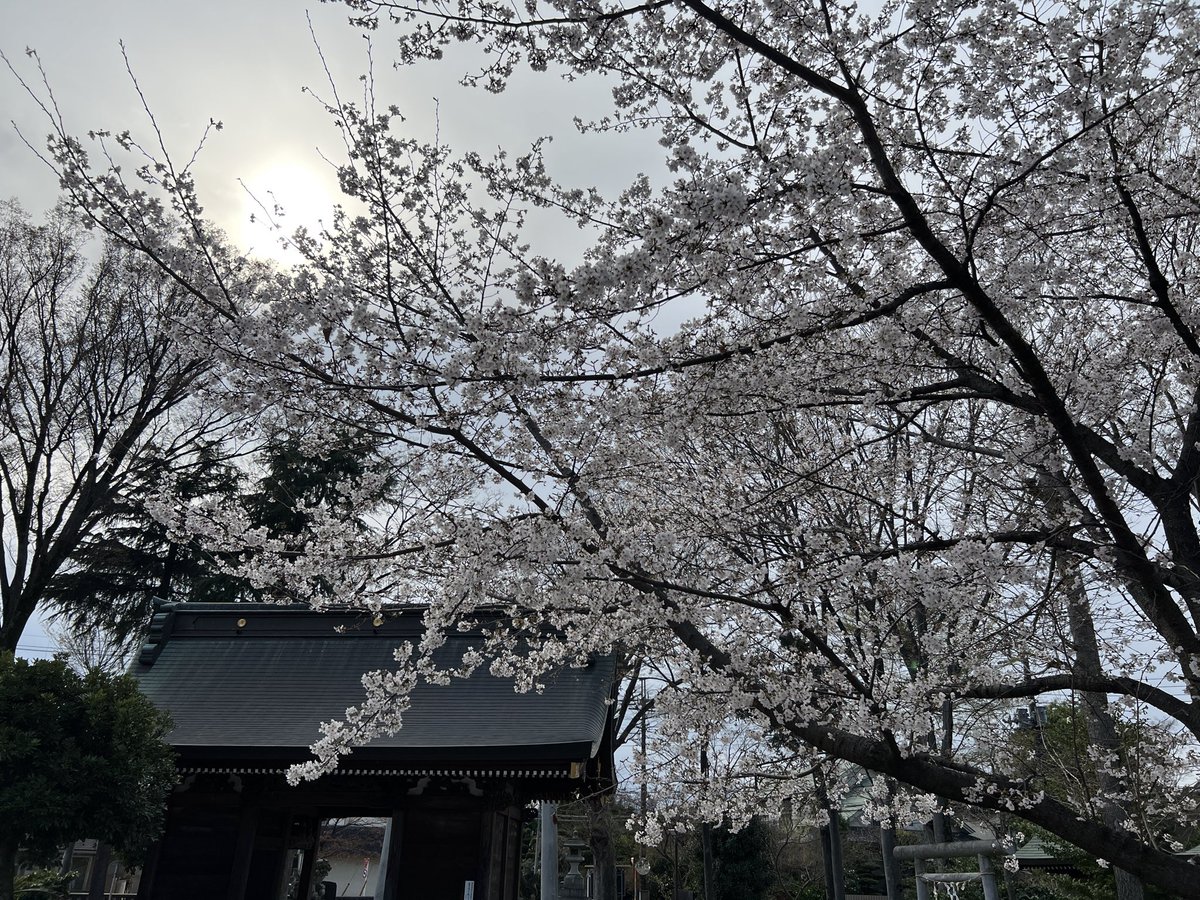 Johnny-Dai tweet media