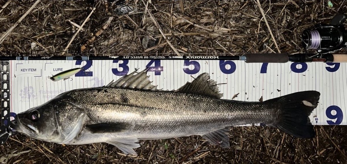 sugi🐿️ tweet media