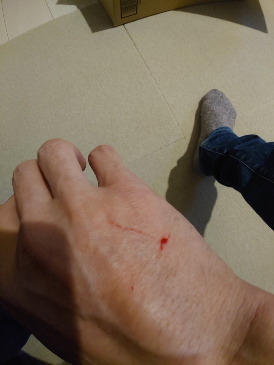 おっとせー(K333) tweet media