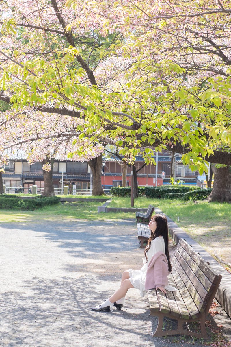 海月みゆき tweet media