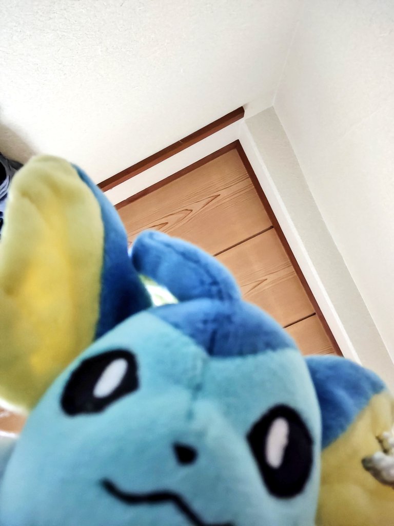23fumix's tweet photo. よいしょっと……
トレーナーさんのスマホ、借りちゃった！
ふふふ、僕がポストしたらびっくりするだろうなぁ

 #シャワーズと一緒 https://t.co/lqpjDGJqjN