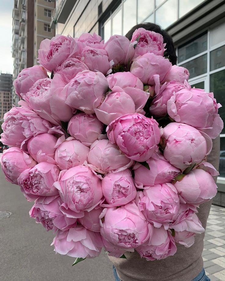 flowers library tweet media