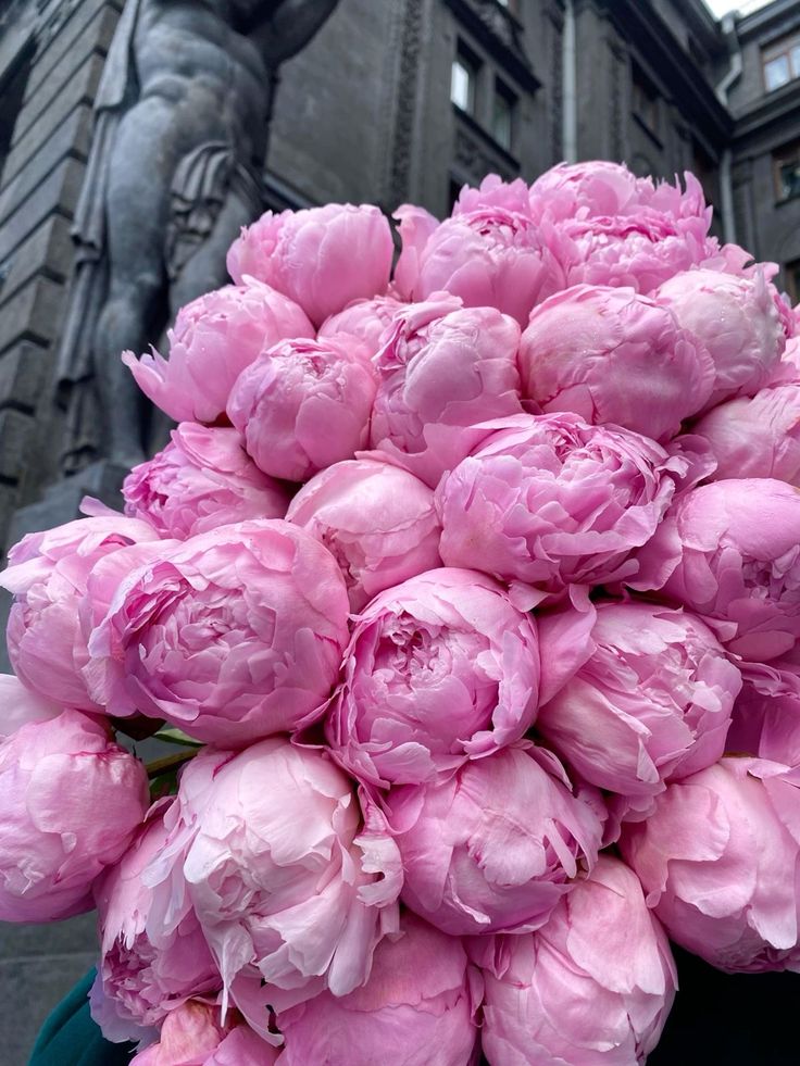 flowers library tweet media