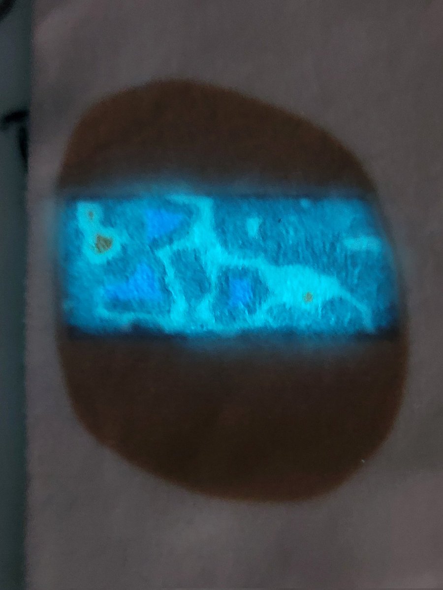 Maz Made Fursuits tweet media