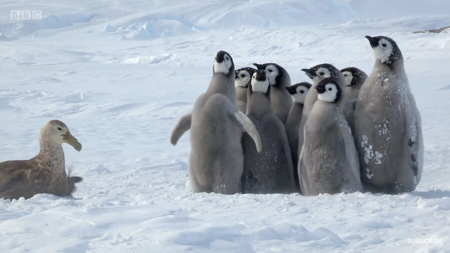 오늘 건우잭이랑 솬레오 모먼트: