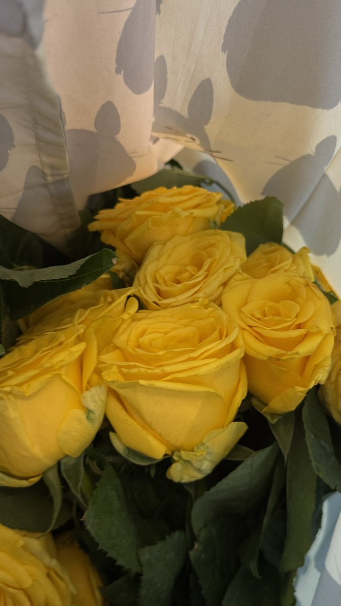 Yellow roses because it's Renjun birthday month 💛😊

#nctdream_thedreamshow4_finale_in_cinemas #nctdream