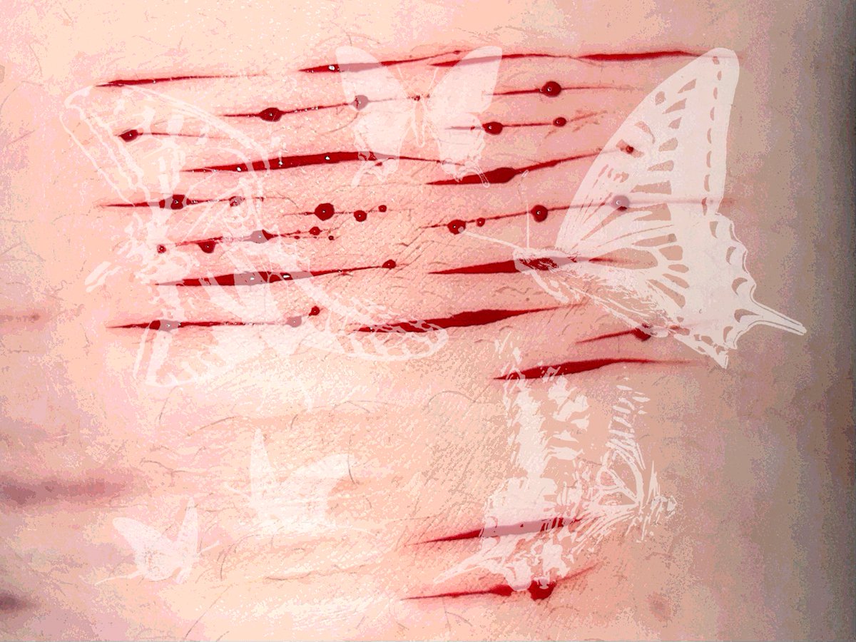 juniper 𖥔 ݁ ˖ tweet media