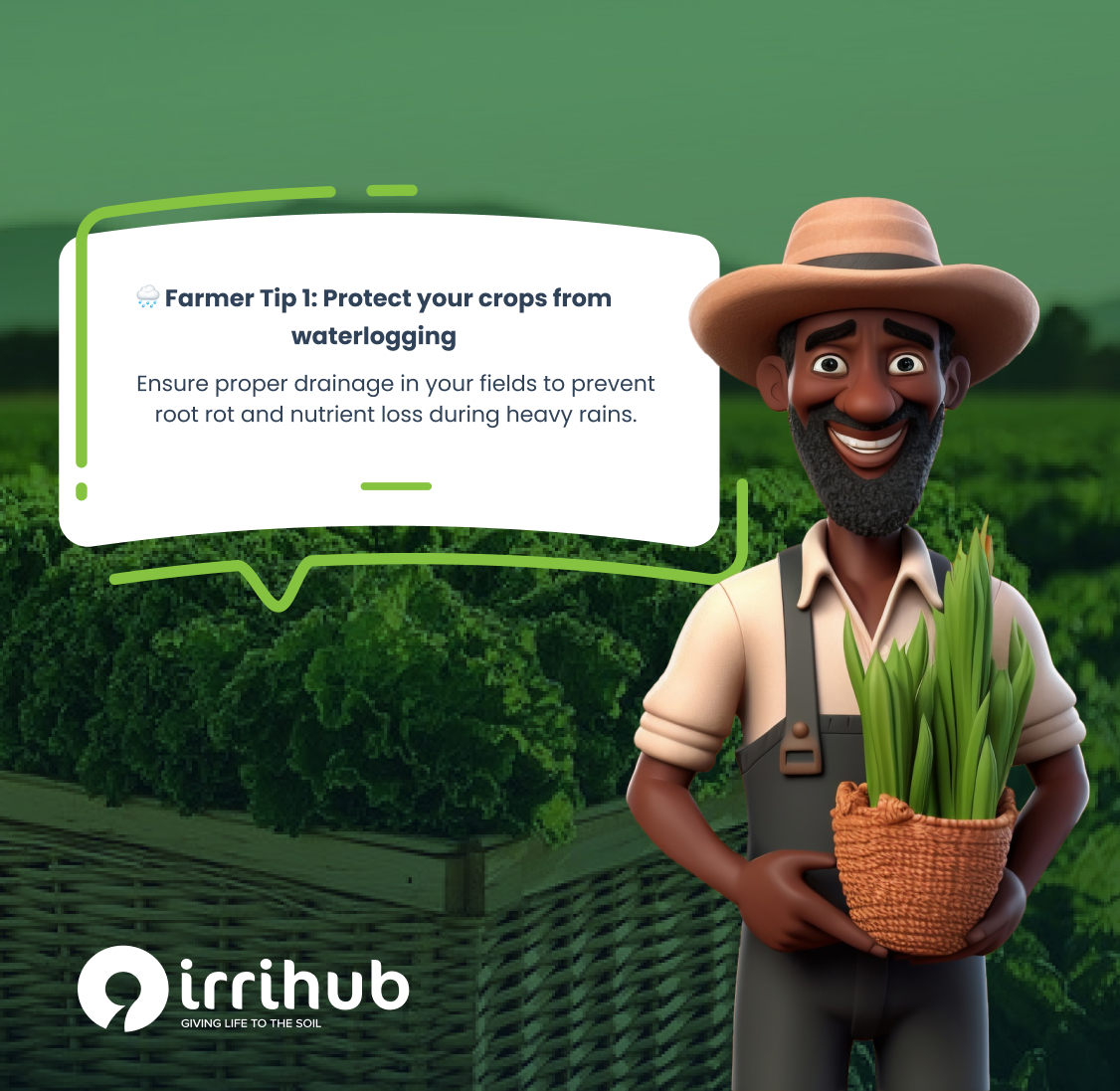 IrriHub's tweet photo. Make every drop of water count! Water at the right time, focus on the roots, use drip irrigation, and mulch your soil to retain moisture. These simple steps save time, boost yields, and keep your crops healthy. 🌱💧

#FarmerTips #SmartFarming #DripIrrigation #SustainableFarming #WaterConservation #CropManagement #FarmSmart #GrowMore #BetterHarvests #AgTech #FarmersLife