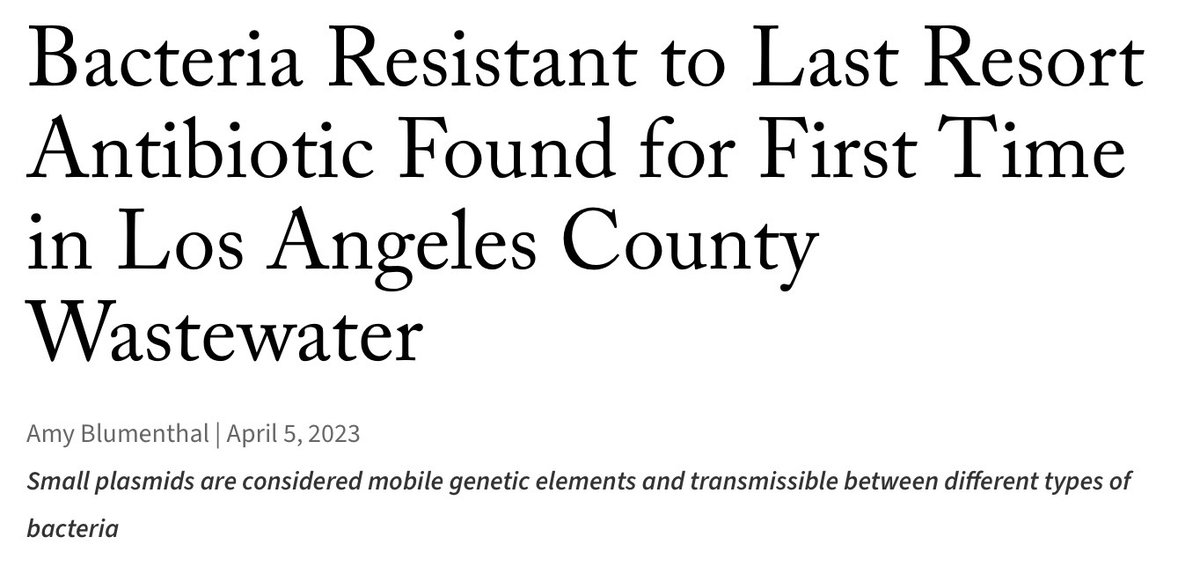 Learnium tweet media