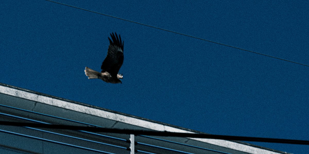 あくび / akubi tweet media