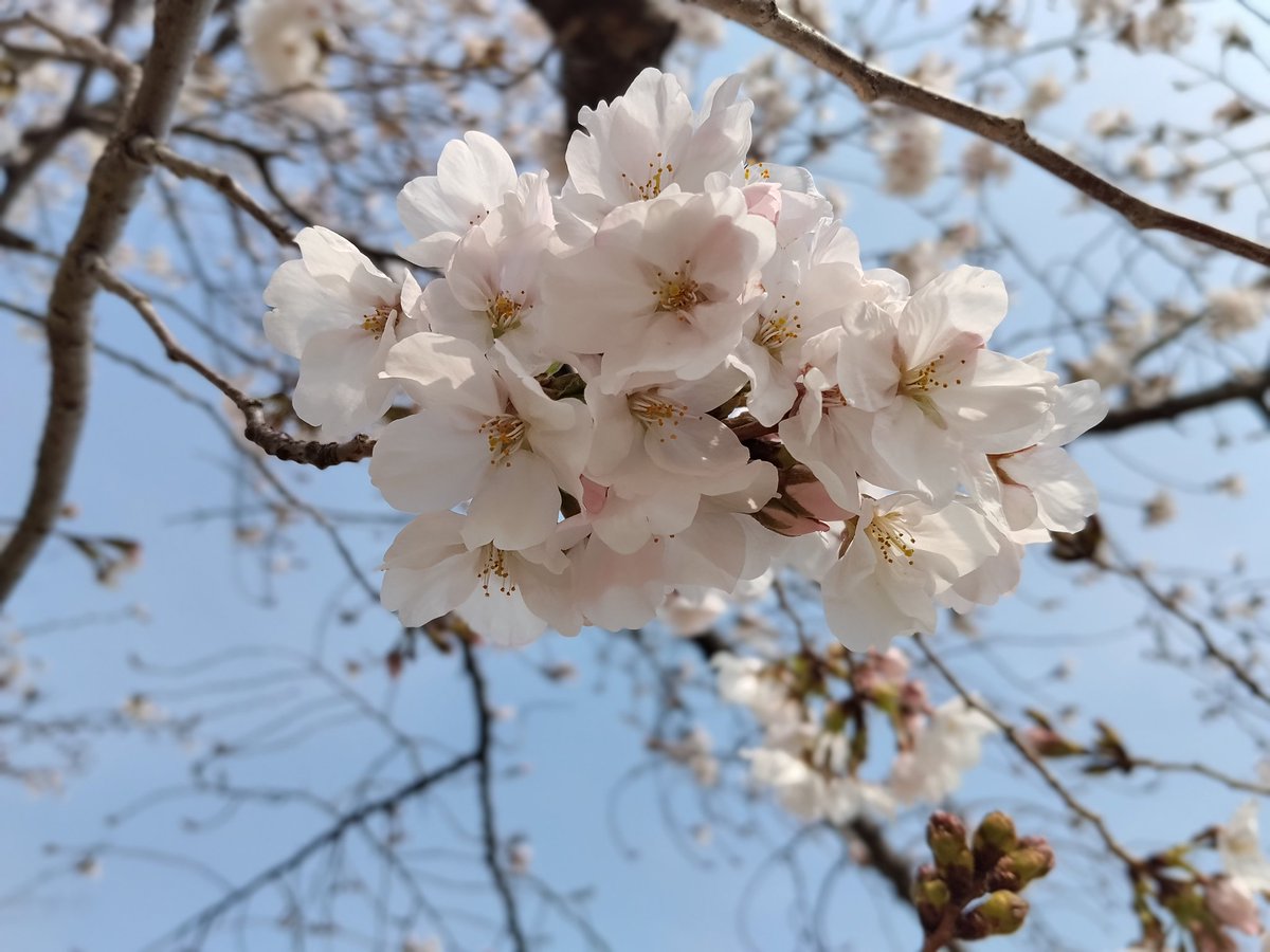 透過みるすけ👓 tweet media