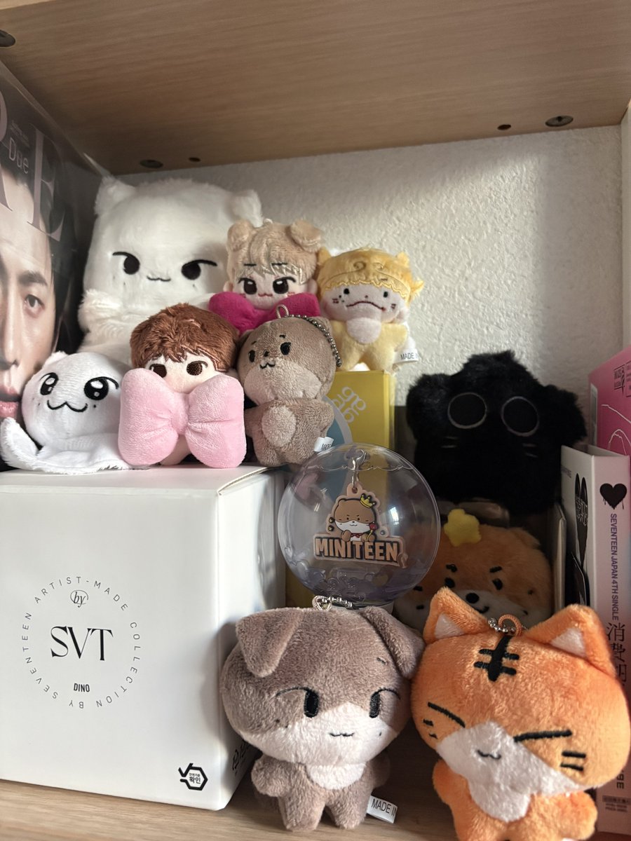 수달🦦 tweet media