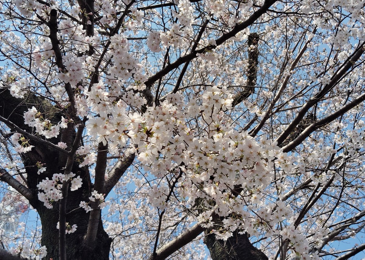 PETIT2(ぷちぷち） tweet media