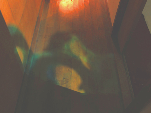 kawakamitakeru's tweet image. kawakamitakeru.wixsite.com/photograph/dar…    #Nara #Japan
