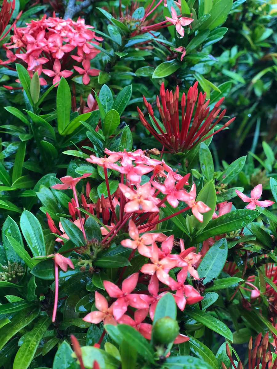 Michelle DeFreese tweet media