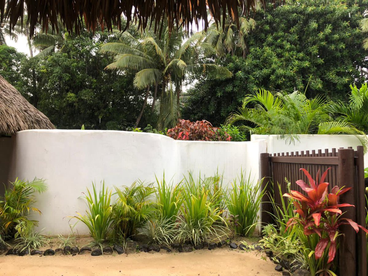 Michelle DeFreese tweet media