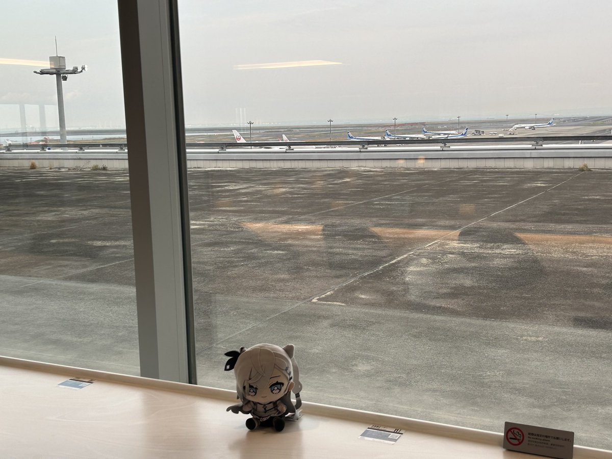 Accelerate tweet media