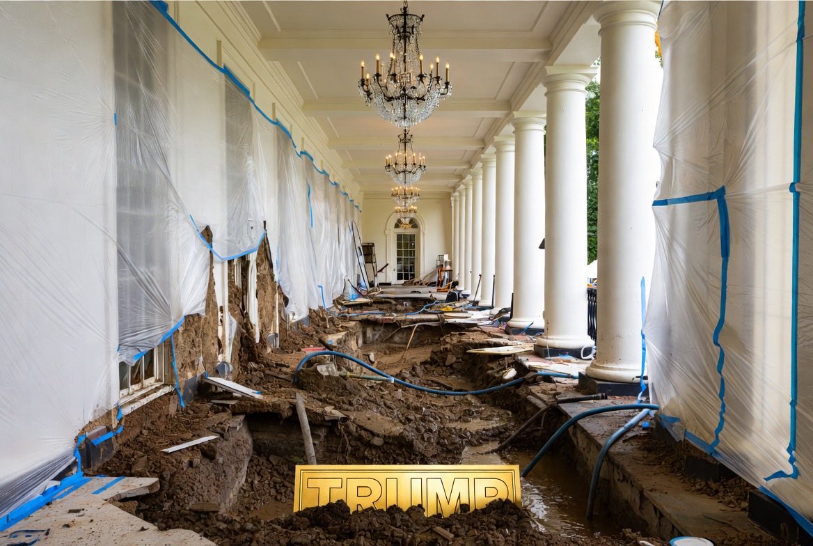 CostellarX tweet media