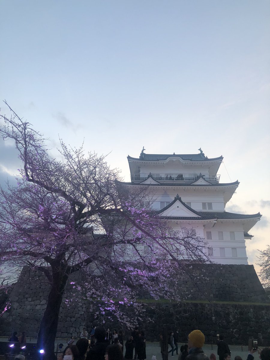 村シンジ2 tweet media