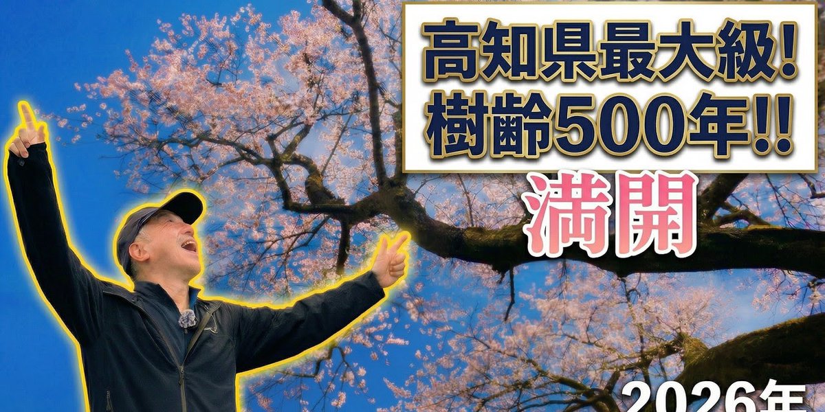 amiens international tweet media