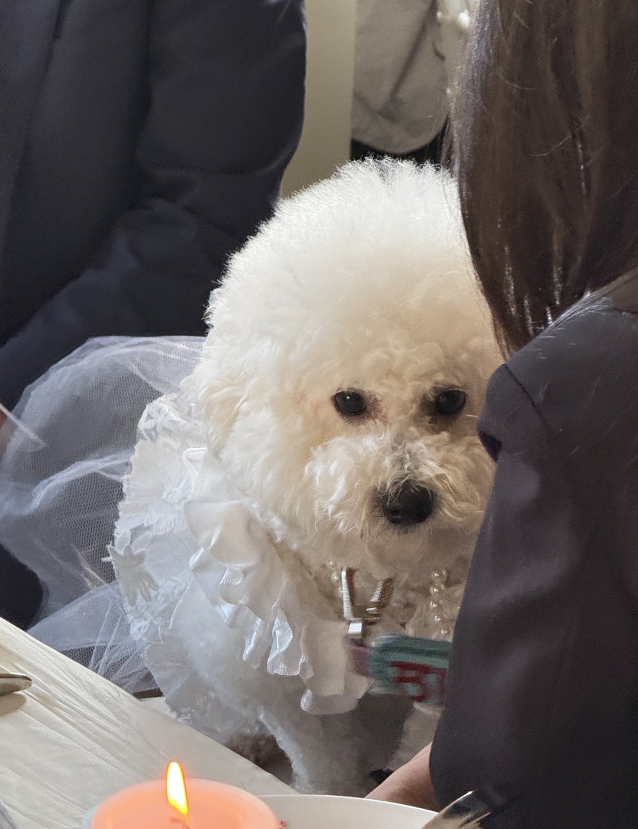 ʚᴅᴇʟɪɢʜᴛɞ tweet media