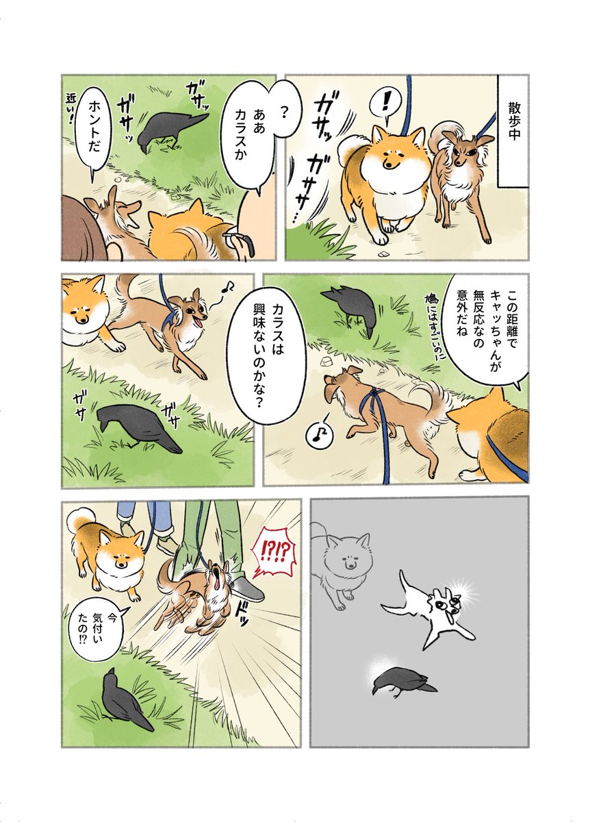 さかぐちまや tweet media