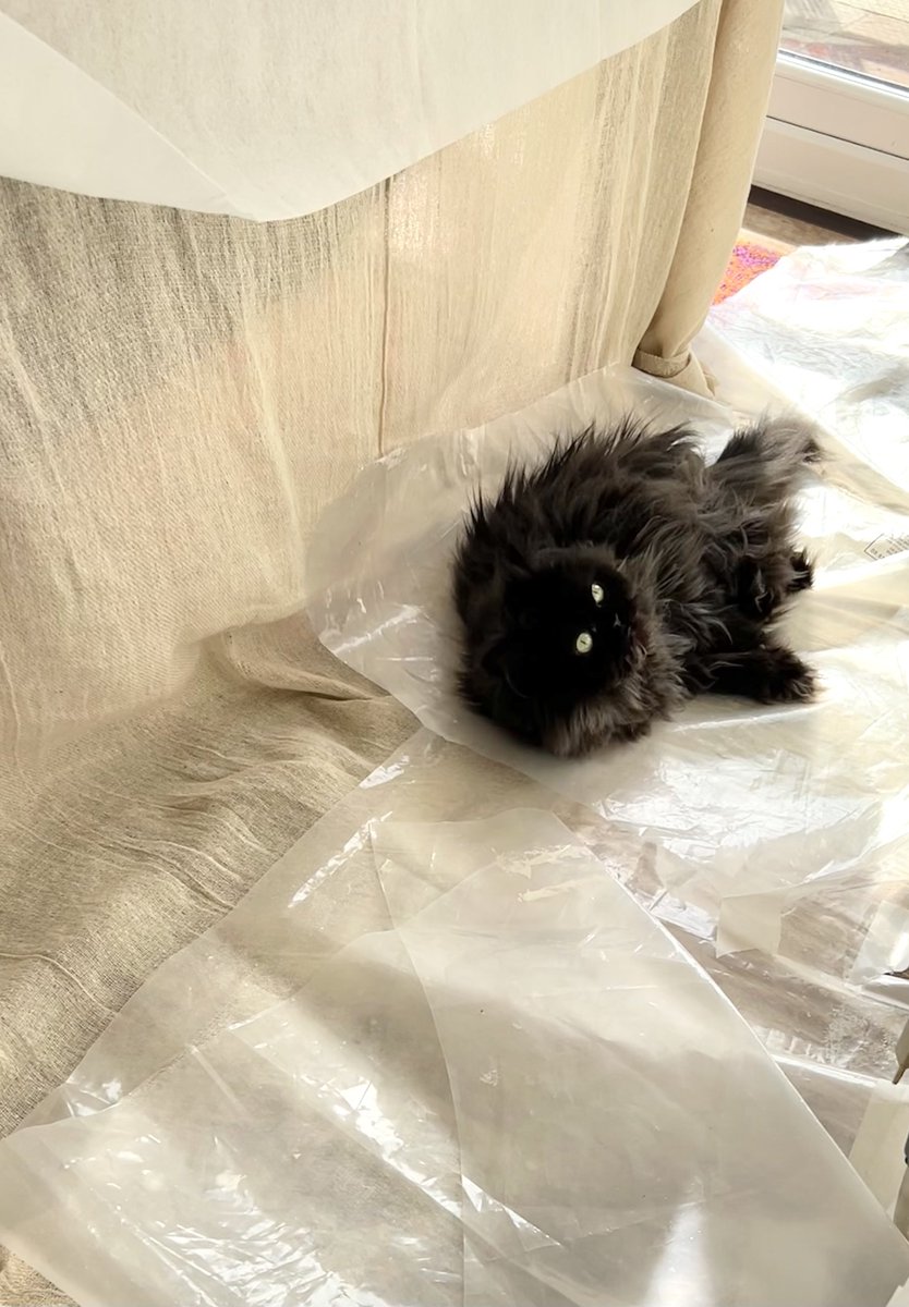 Doris McFloofle tweet media