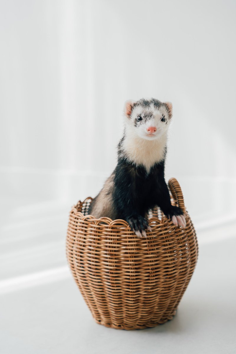 うとꪔ̤ tweet media