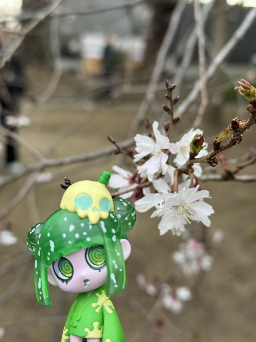 昨日寝る前に起きたら桜撮りに行こうと思ってたのに、
お昼に起きて準備してる時に、スタンドが無いからダメだとか、板が見つからないとか、
行かない理由をすぐ見つけてしまうので、
誰か野撮の予定を立てて下さい。