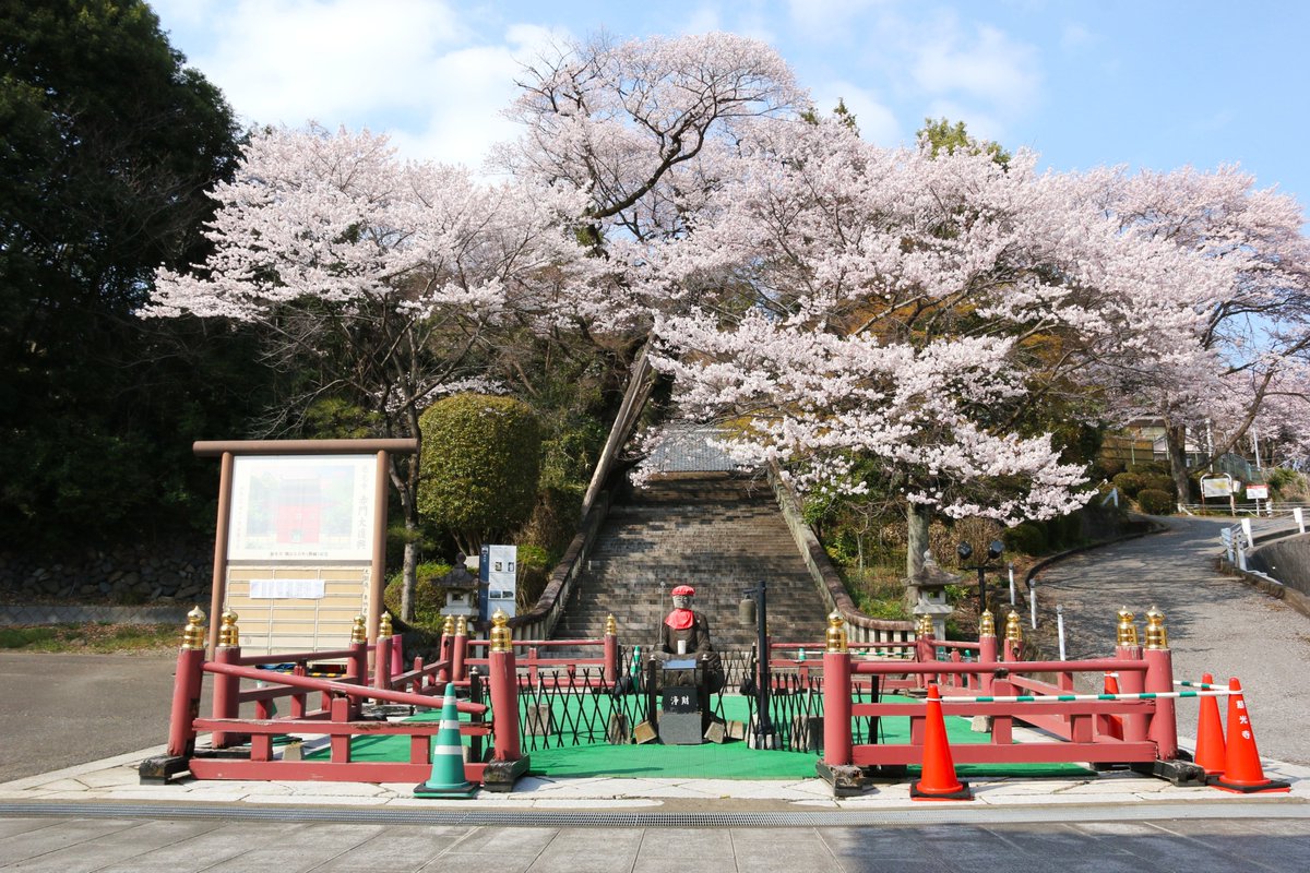 ンまい屋さん🍥YouTubeやってる人 tweet media