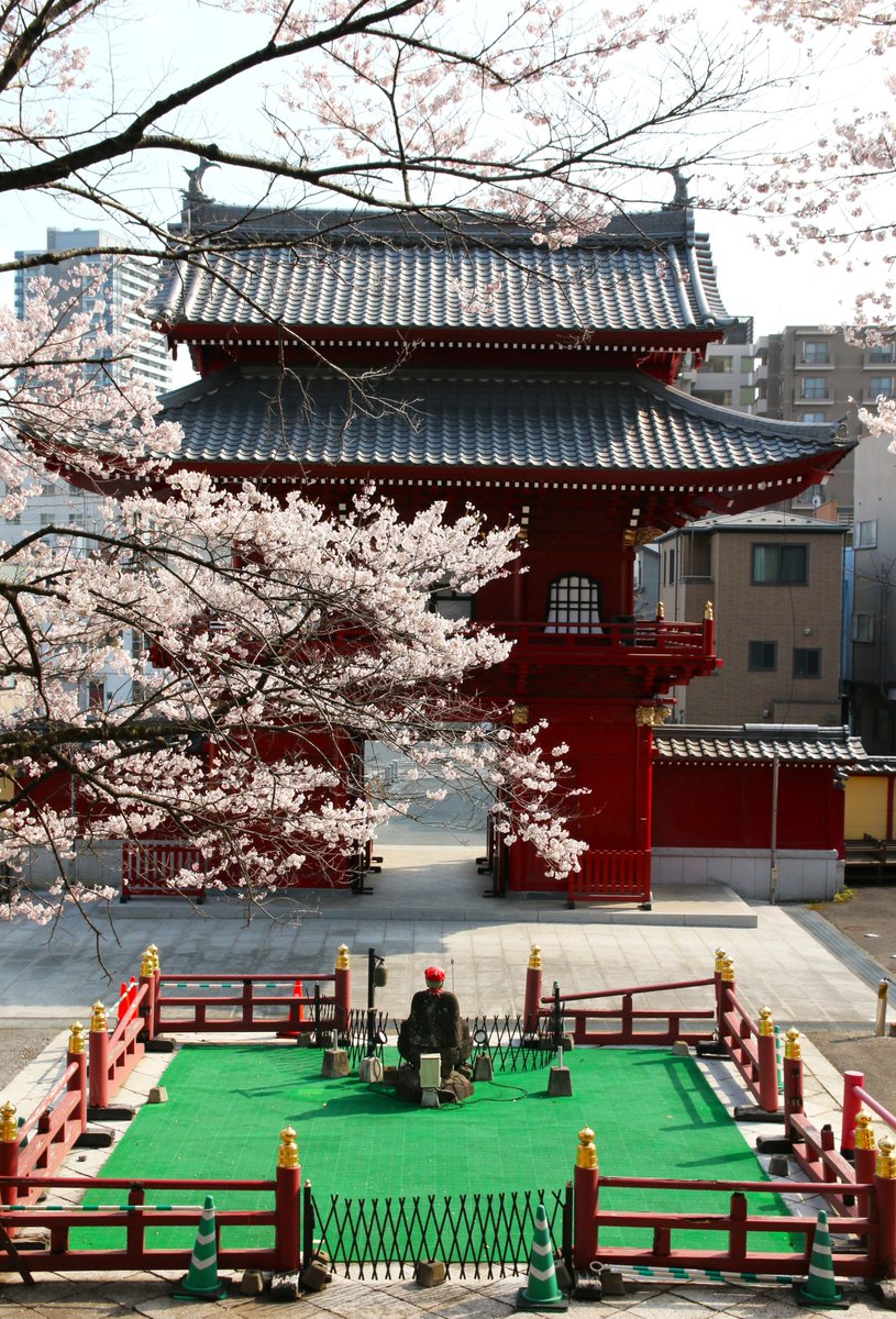 ンまい屋さん🍥YouTubeやってる人 tweet media