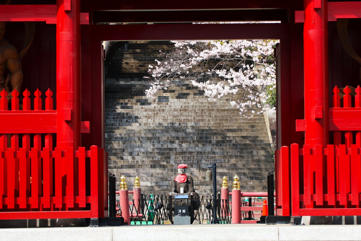 ンまい屋さん🍥YouTubeやってる人 tweet media