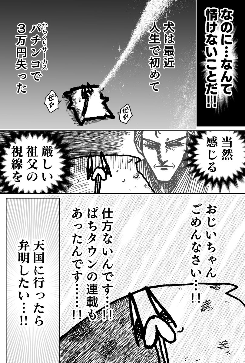 舐めた犬 tweet media