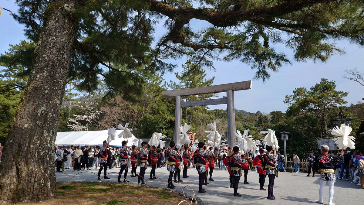 ねずみいろの壜詰 tweet media