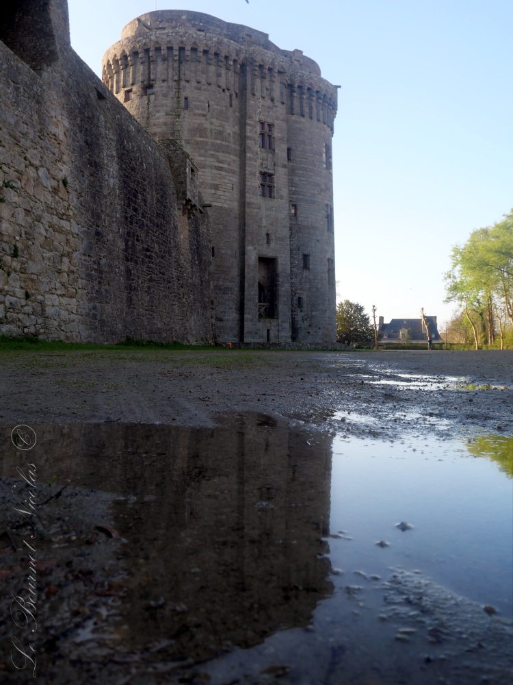 Nicolas le Bournot tweet media