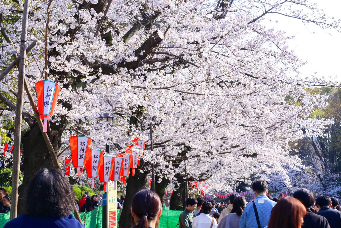 緒方夏生✩オガータ tweet media