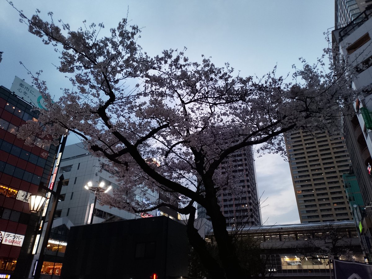 Cesse🍶 tweet media