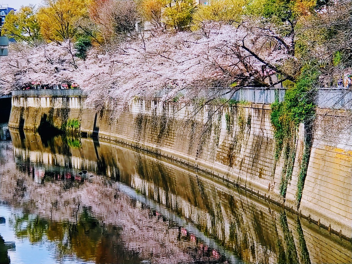 あっこ tweet media