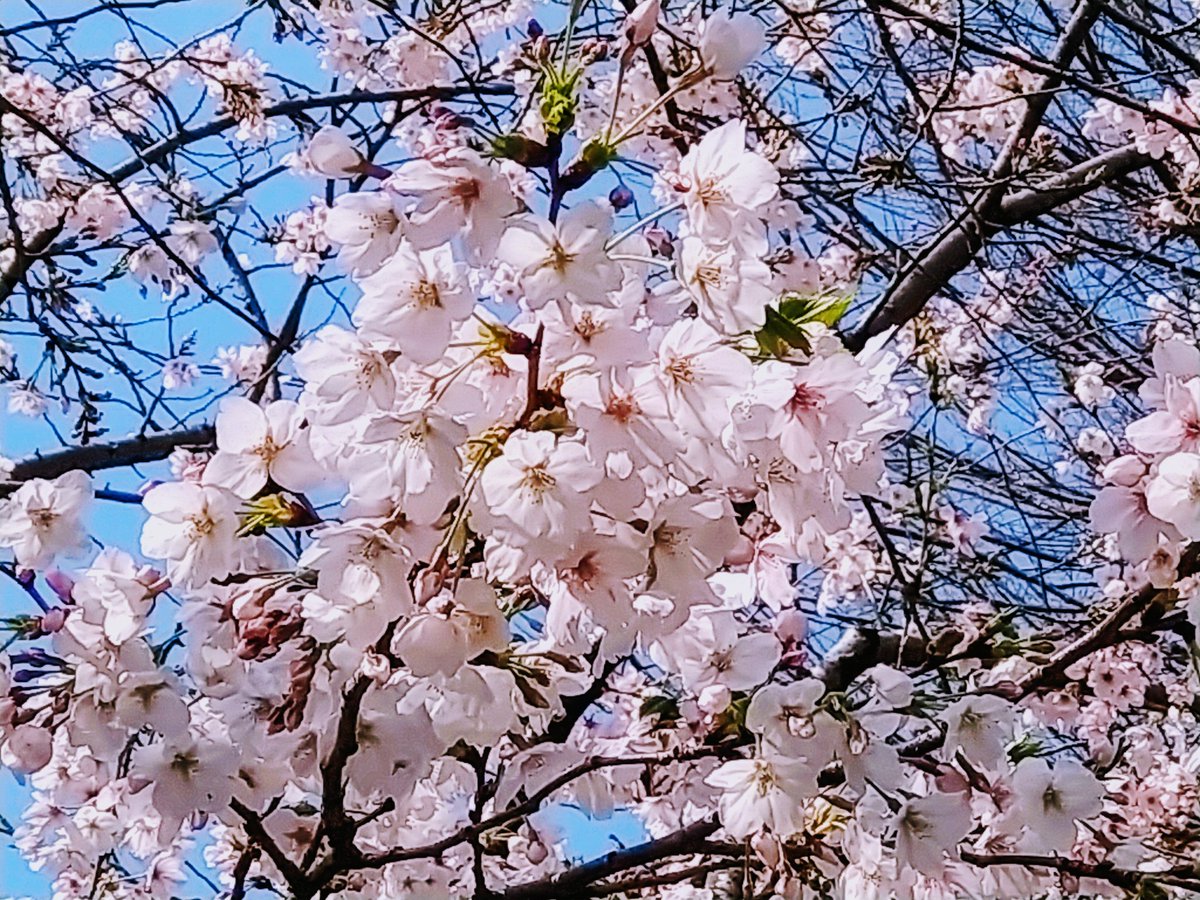 あっこ tweet media