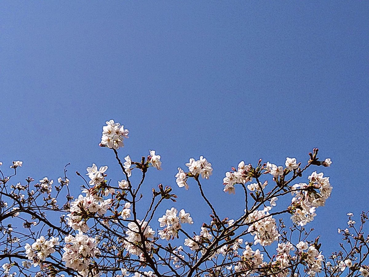 あっこ tweet media