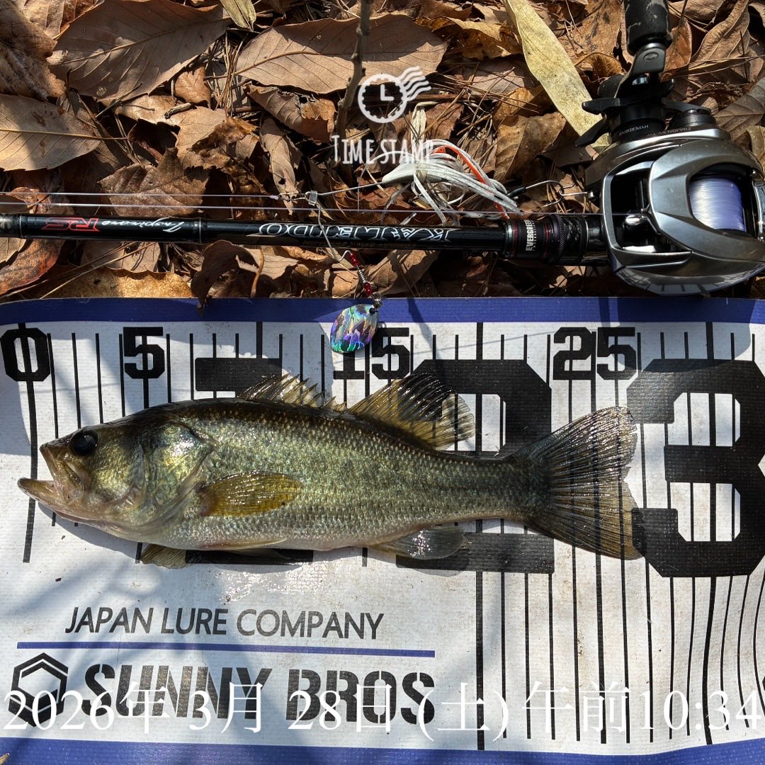 しゅんぺー tweet media