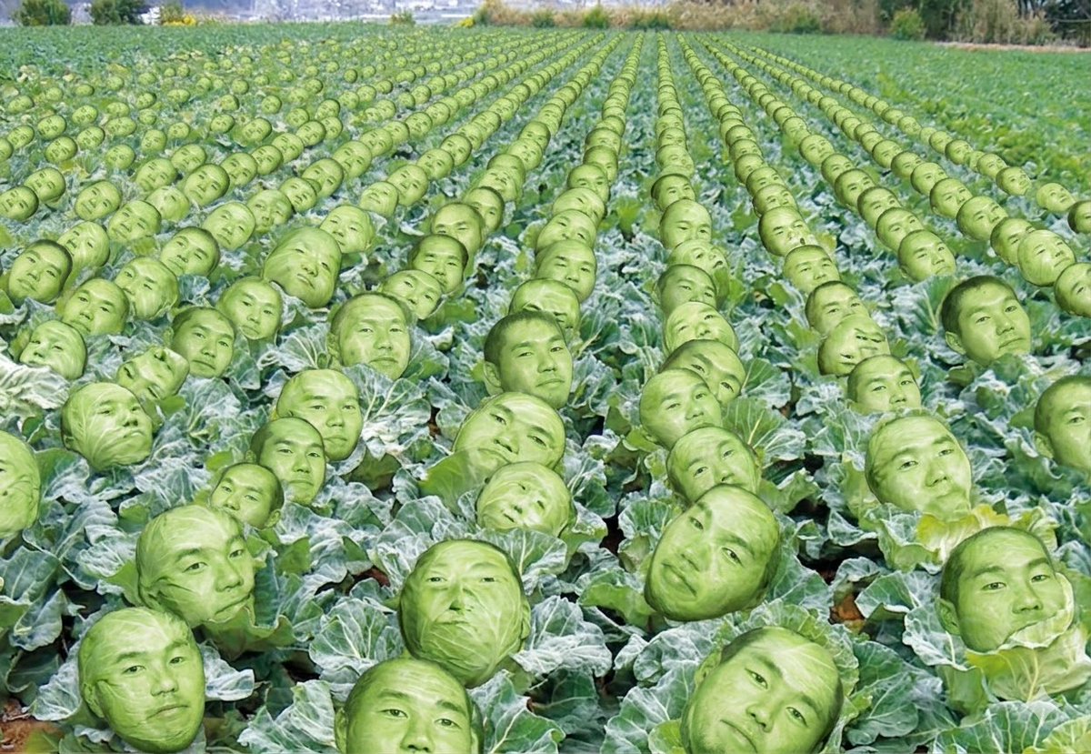 野獣先輩 tweet media