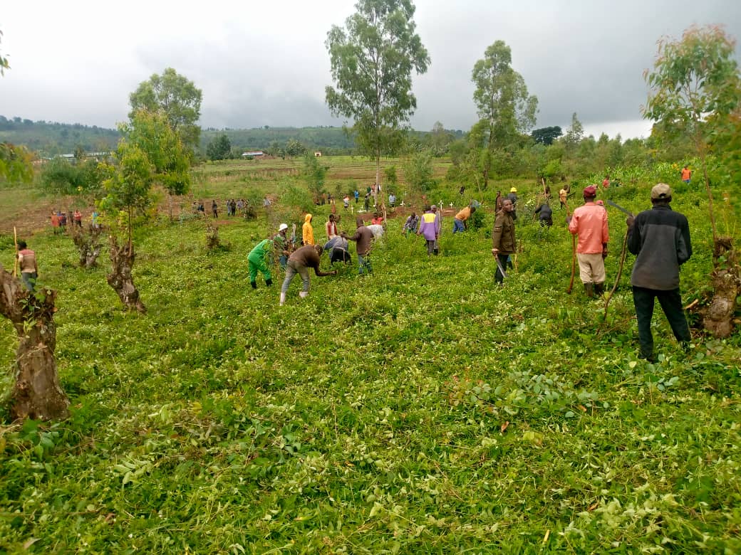Murama Sector/KAYONZA District tweet media
