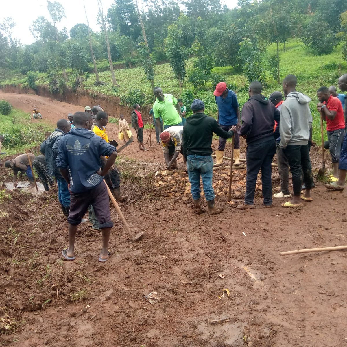 Murama Sector/KAYONZA District tweet media