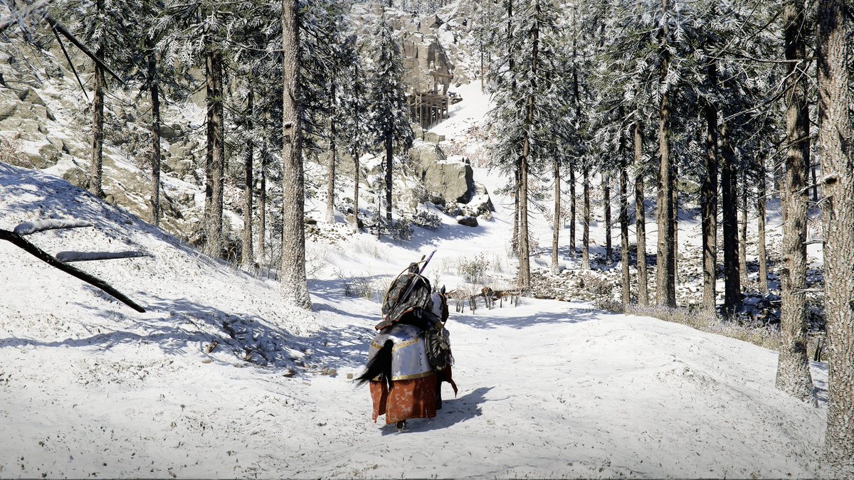 Ayghan 📸 tweet media