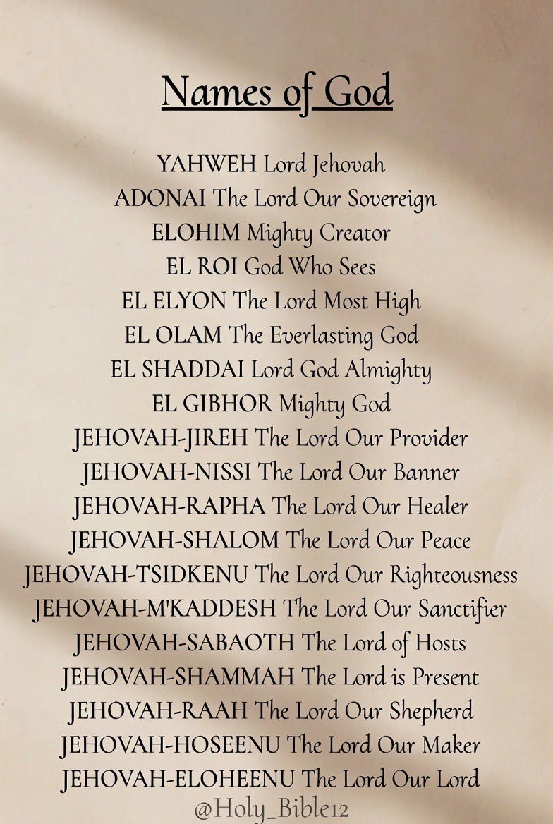 Holy Bible tweet media