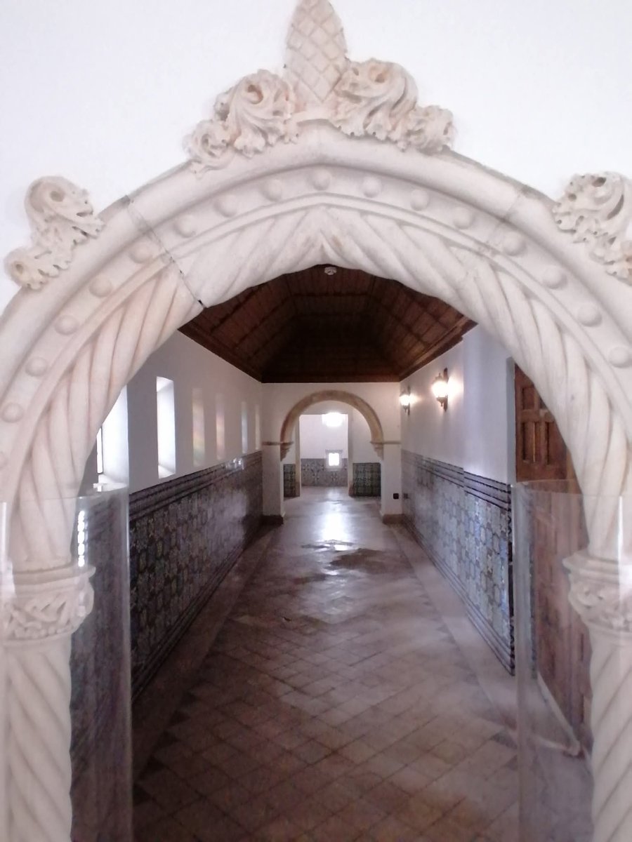 manuelima tweet media