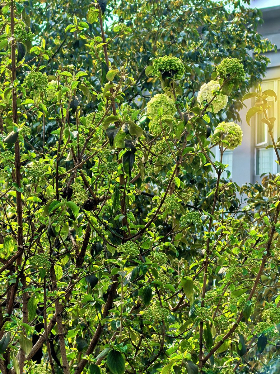 Cindy Dehn tweet media